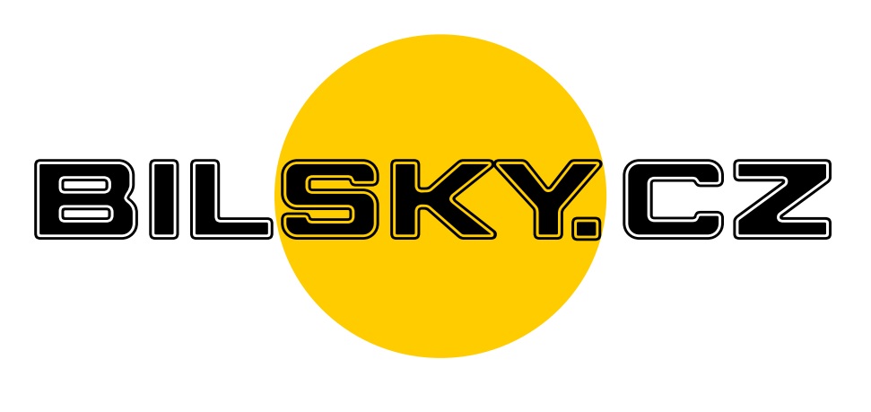 Logo-bilskysky